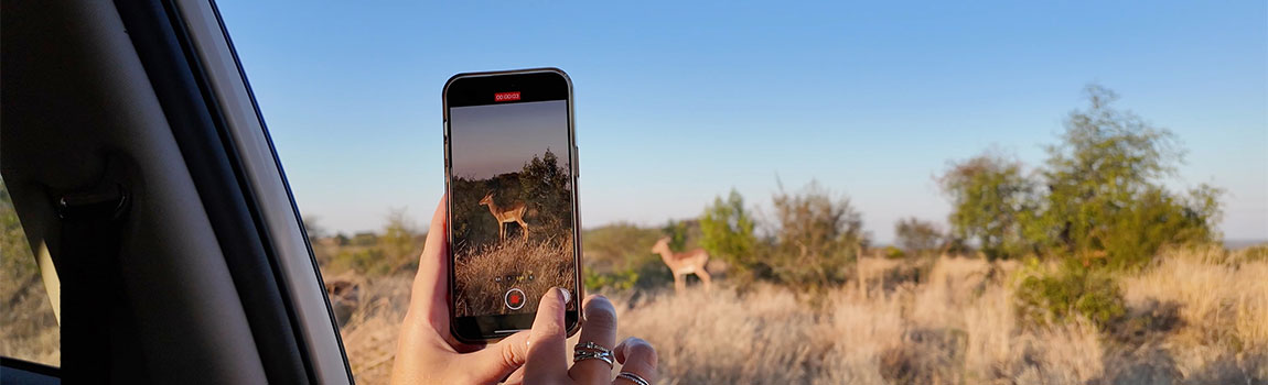 Budget-Friendly-Safari-5